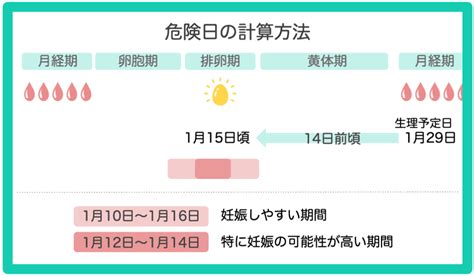 危険日計算ツール 